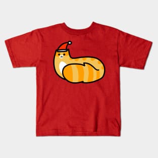 Fluffy Christmas Tabby Kids T-Shirt